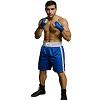 FIGHT-FIT - Pantaloncini da Boxe / Blu-Bianco