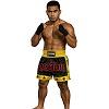 FIGHTERS - Pantaloncini Muay Thai / Nero-Giallo